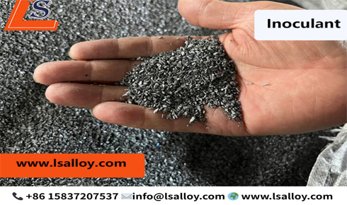 LSFerroalloy: Your Premier Ferrosilicon Inoculant for Superior Casting Quality